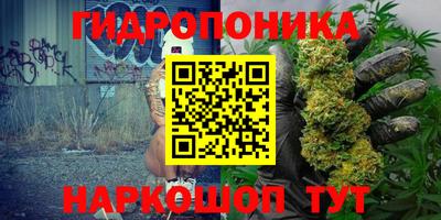 крисы Тара
