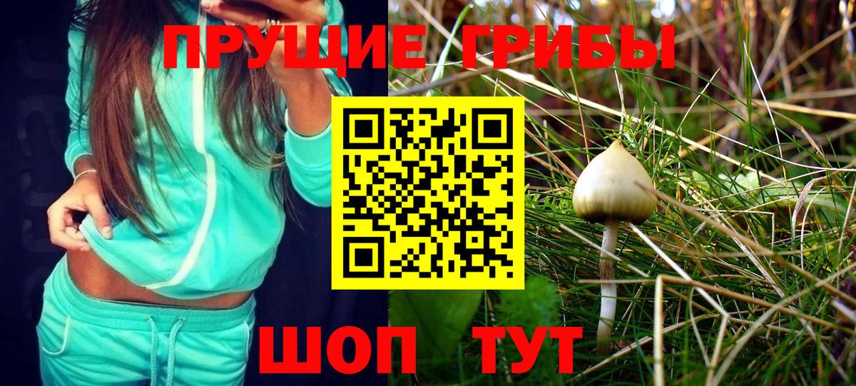 наркота  Вход с VPN  Новошахтинск  Галлюциногенные грибы Magic Shrooms 