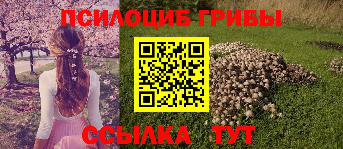 Псилоцибиновые грибы Magic Shrooms Новошахтинск